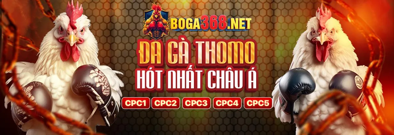 Hướng dẫn đặt cược đá gà tại 22hello88 nhà cái